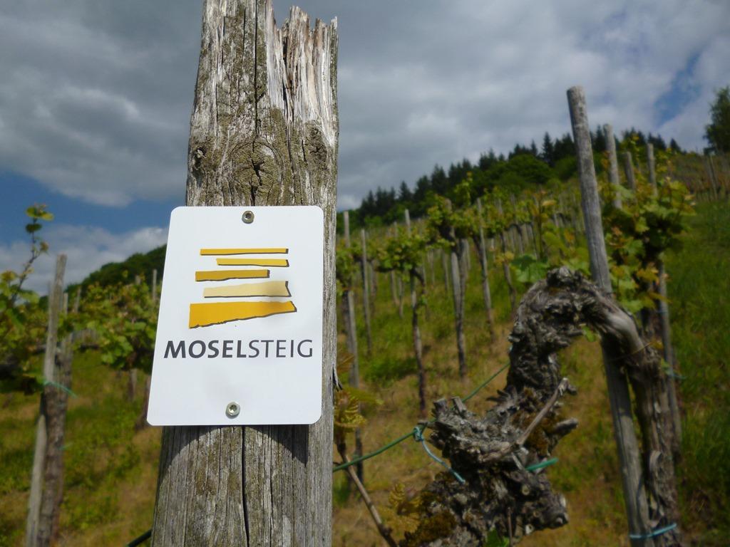Hotel "Zur Moselterrasse" Palzem Dış mekan fotoğraf